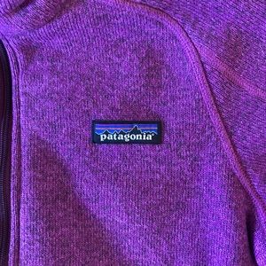 Patagonia Better Sweater